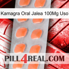 Kamagra Oral Jelly 100Mg Use 26